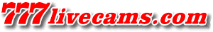 t7strip.com - Bi Shows / neue Sender